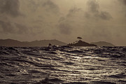 05 o'clock Indian Ocean Time Photograph by Dubi Roman