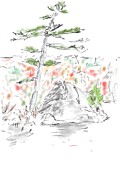 092520 Drawing by Dominique Lecomte