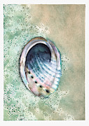 Abalone #1 Painting by Hilda Wagner