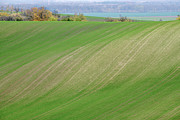 Autumn in South Moravia 19 #1 Photograph by Dubi Roman