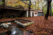 Autumn Landscape #1 Photograph by Michalakis Ppalis