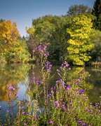 Autumn Pond #1 Photograph by Mark Mille