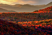 Autumn Tapestry Photograph by Neil Shapiro