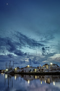 Bayou Nights #2 Photograph by Brad Boland