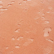 Beach Abstract #2 Photograph by Shankar Adiseshan