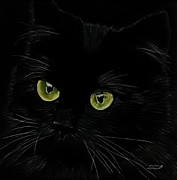 Black Cat #1 Drawing by Terri Mills Black Cat #1 Drawing by Terri Mills