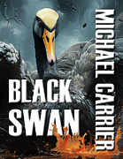Black Swan Photograph by Michael Carrier