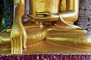 Buddha under a tree, Myanmar #1 Photograph by Lie Yim Buddha under a tree, Myanmar #1 Photograph by Lie Yim
