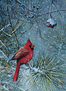 Cardinal #1 Painting by Scott Zoellick