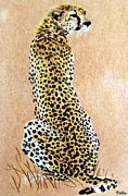 Cheetah #1 Pastel by Vallee Johnson