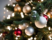 Christmas Tree Greeting Card #1 Digital Art by Robert Blandy Jr