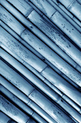 Close Up Of The Bamboo Texture Background #1 Photograph by Severija Kirilovaite