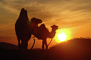 Colors of Gobi desert #1 Photograph by Elbegzaya Lkhagvasuren