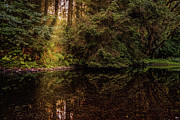 Desitination Solitude #1 Photograph by Bill Posner