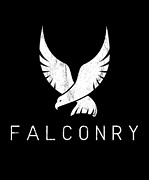 Falconry Hobby Bird Of Prey Falcon Eagle Hawk Gift  #1 Drawing by Noirty Designs