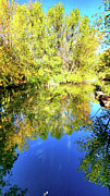 Fall_5 #1 Photograph by Mark Jackson Fall_5 #1 Photograph by Mark Jackson