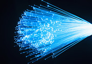 Fiber optic glowing, studio shot #1 Photograph by Tetra Images