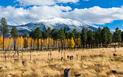 Flagstaff Arizona in the Fall #1 Photograph by Gene Lee