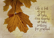 Give Thanks #1 Photograph by Cathy Kovarik