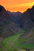 Gobi area #1 Photograph by Bat-Erdene Baasansuren
