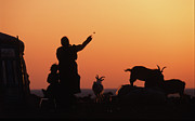 Gobi evening #1 Photograph by Elbegzaya Lkhagvasuren