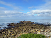 We've Gone Fishing Photograph by Joe Schofield