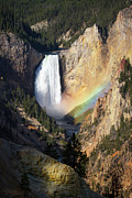 Grand Canyon of Yellowstone #1 Photograph by Brook Burling