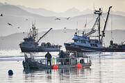 Herring Fishery #2 Photograph by Randy Hall