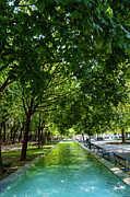 Hviezdoslavovo square in Bratislava, Slovakia #1 Photograph by Stuart Chard