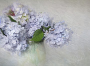 Blue Hydrangea Photograph by Karen Lynch