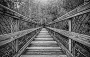 Infinity #1 Photograph by Anna Rumiantseva