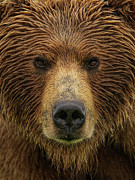 Intensity #2 Photograph by Chad Dutson