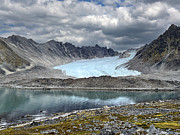 lichen in Svalbard #1 Photograph by BDphoto
