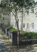 Mendel's Research Garden, Brno #1 Photograph by Science Source