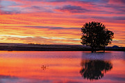 Montana Sunset #1 Photograph by Todd Klassy