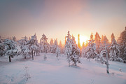 Orange rays of the sun illuminate the frosty and snowy Finnish scenery #1 Photograph by Vaclav Sonnek