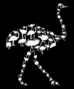 Ostrich Wildlife Africa Ostrich Silhouette #1 Digital Art by Toms Tee Store