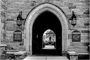 Outside View Photograph by Sandy Moulder