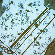 Pattern 18 #1 Digital Art by Marko Sabotin Pattern 18 #1 Digital Art by Marko Sabotin