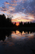 Pond Reflections #1 Photograph by Brook Burling