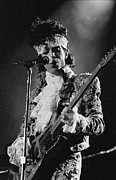 Prince Close-Up #2 Photograph by Dmi