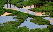 Reflections #1 Photograph by Robert Miller Reflections #1 Photograph by Robert Miller