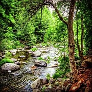 Sedona River Photograph by Cherry Vercher