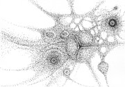 Seedpod  #1 Drawing by Franci Hepburn