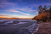 Shore Light #1 Photograph by Bill Posner
