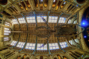 Sperm whale skeleton in Natural History Museum of London. #1 Photograph by Stuart Chard Sperm whale skeleton in Natural History Museum of London. #1 Photograph by Stuart Chard
