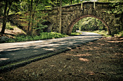Stone Arch Bridge, Stanley Brook Drive, Acadia National Park #1 Photograph by Jeff Sinon Stone Arch Bridge, Stanley Brook Drive, Acadia National Park #1 Photograph by Jeff Sinon