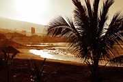 Stormy weather with palm trees on the beach in sepia color #1 Photograph by Severija Kirilovaite