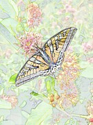 Swallowtail #1 Digital Art by Bruce Block