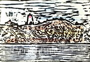 Swallowtail, Grand Manan Island, NB, Canada Drawing by Dominique Lecomte
